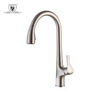 Kitchen faucet copper gaosheng  kitchen pulls the tap Water-saving faucet 37084