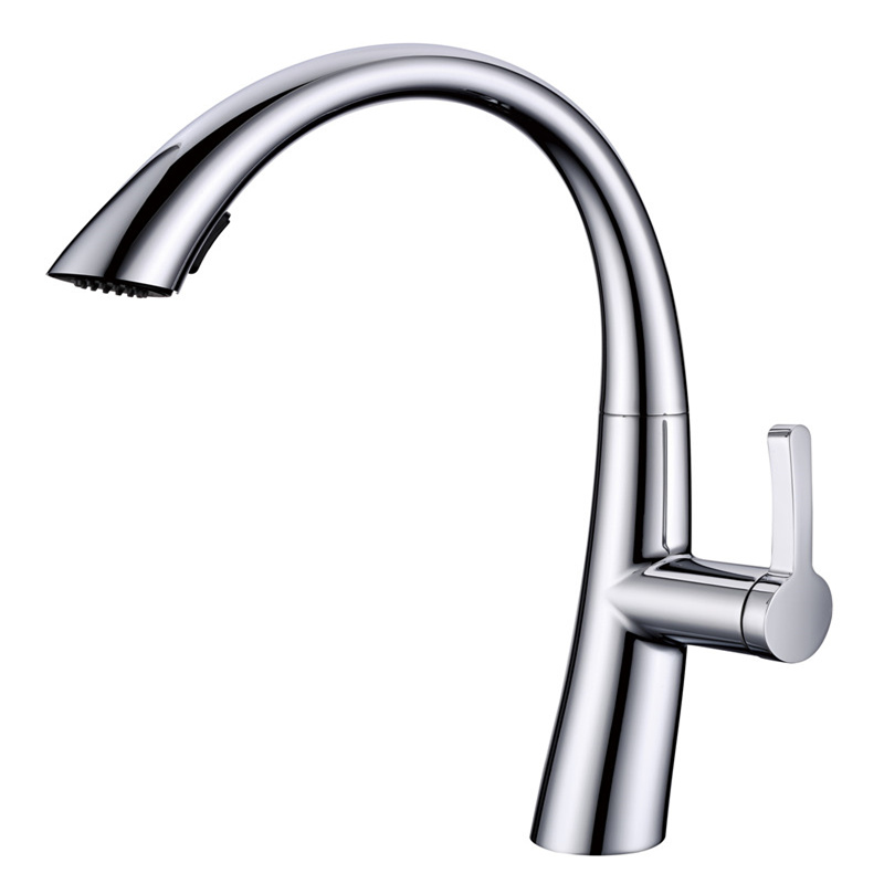 Kitchen faucet  tap Water tap pullout 37065